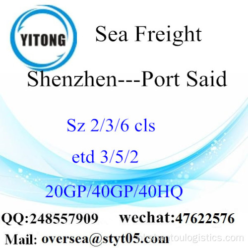 Shenzhen poort zeevracht verzending naar Port Said